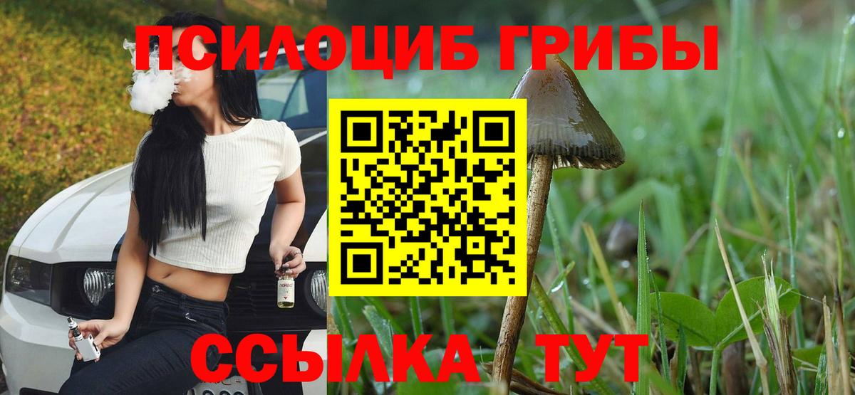 Псилоцибиновые грибы мицелий Павловский Посад