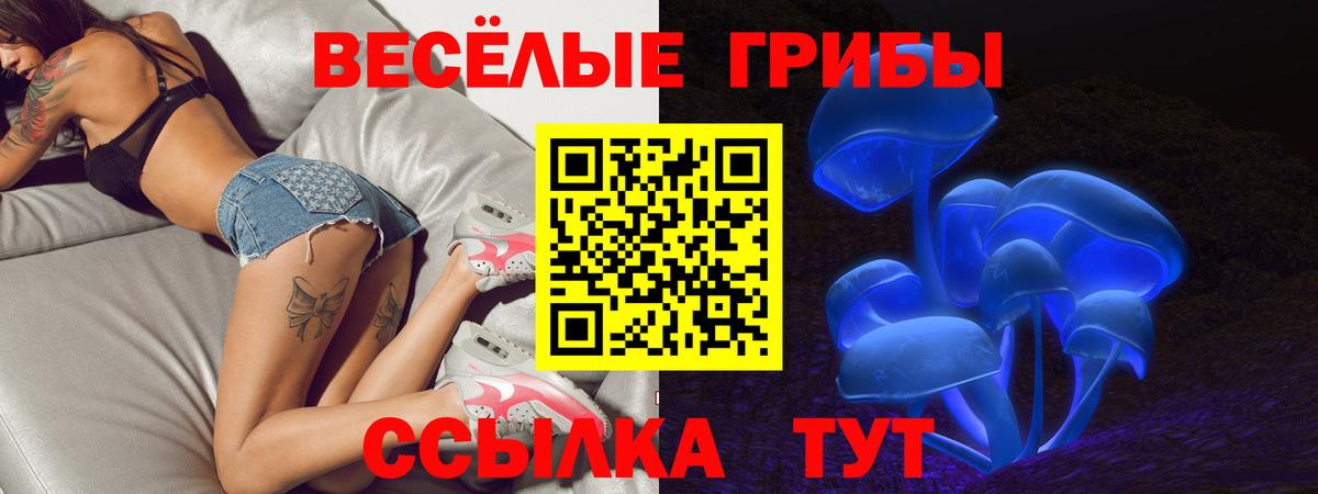 Павловский Посад  Псилоцибиновые грибы Psilocybe  Вход с VPN 